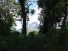 arenal volcano through tropical hardwood jungle costa rica